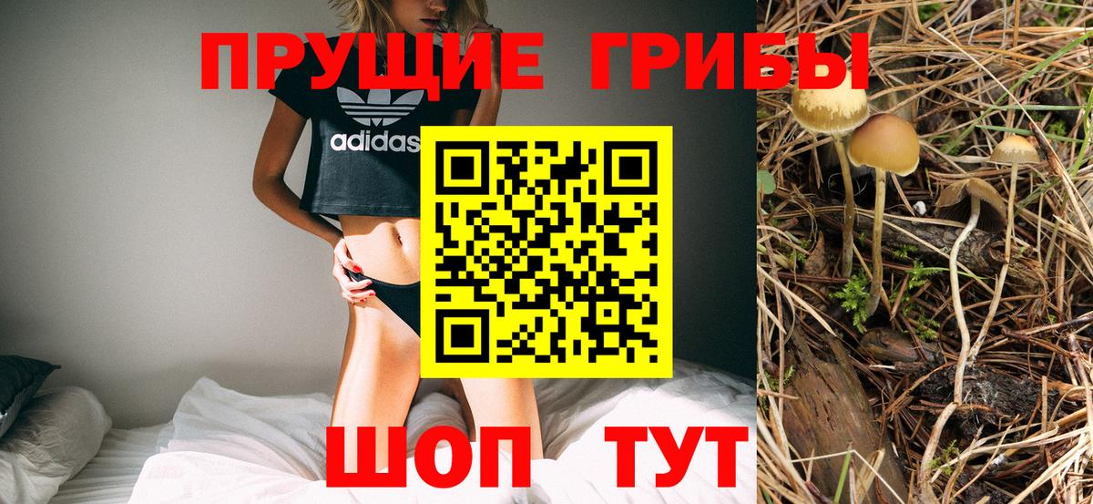 Галлюциногенные грибы мицелий  Псилоцибиновые грибы мухоморы  Вход с VPN  купить закладку  Черногорск 