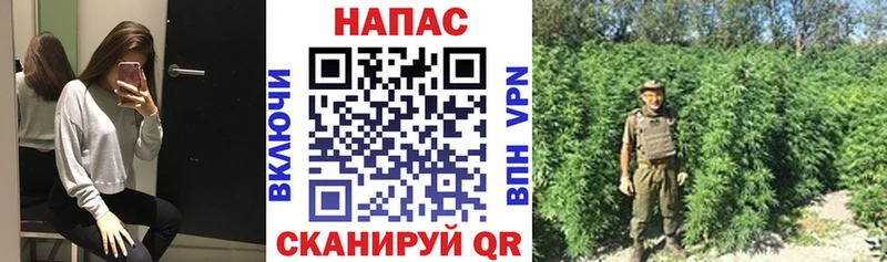 МАРИХУАНА планчик  shop состав  Черногорск  купить наркотик  блэк спрут маркетплейс 